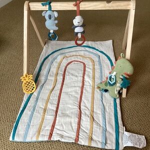 Itzy Ritzy Activity Gym